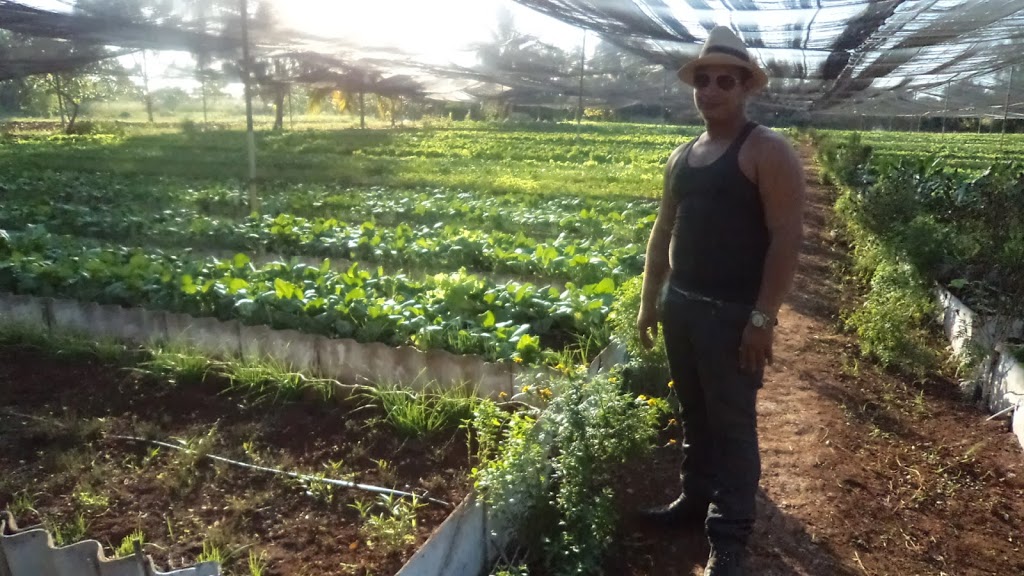 Organic Farming ~ Learning from the Best ~ Cuba.