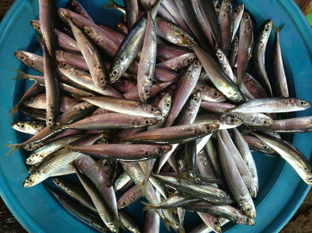 Thanh Ha fisherman village ~ our favorite smaller market, Hoi An, Viet Nam