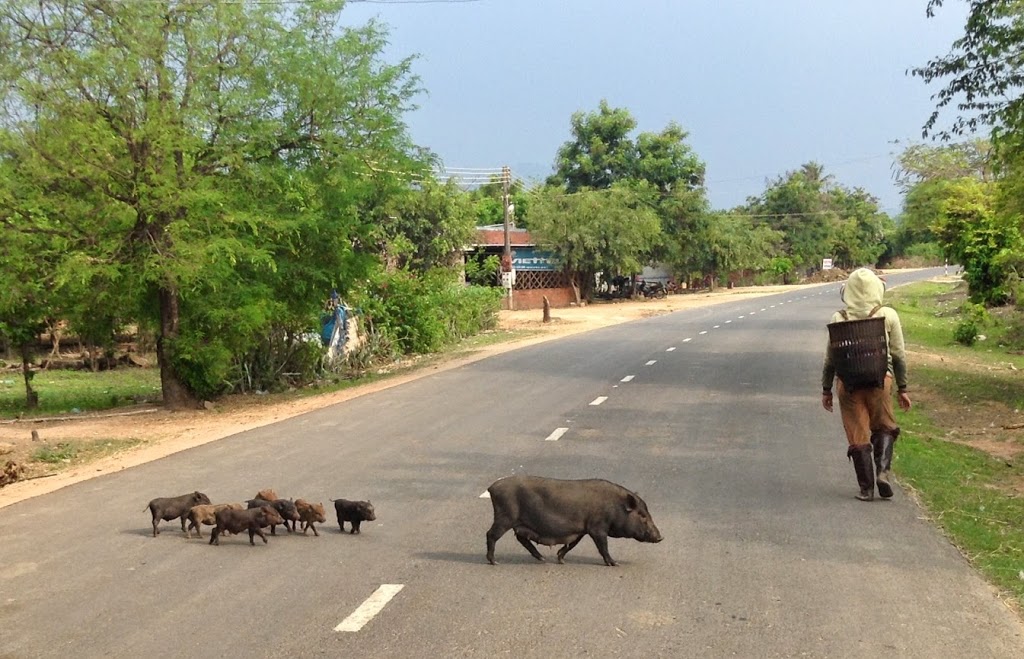 Day 6 and 7 (Ho Chi Minh Trail ) ~ Getting into Lak Lake Region