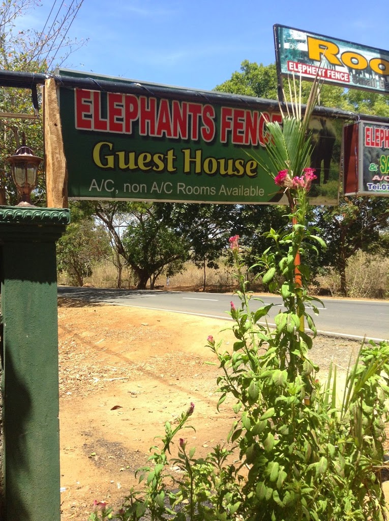 Elephant Fence homestay ~ Uduwalawe National Park