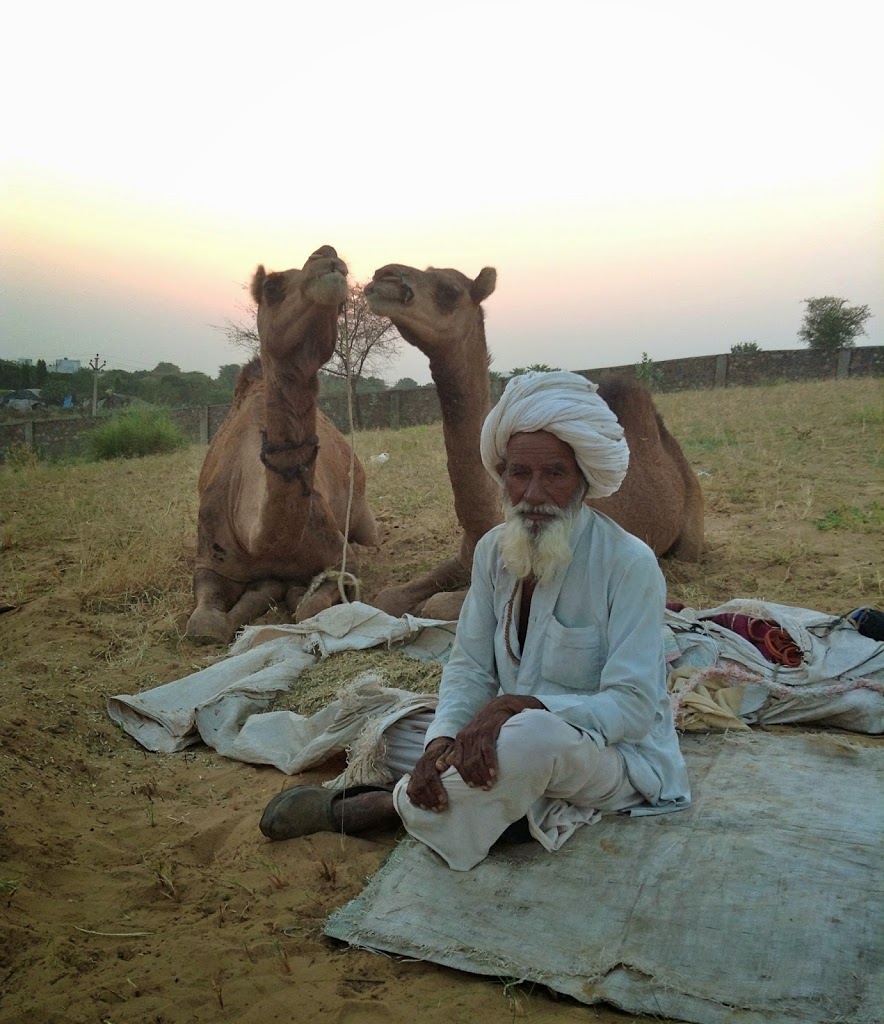 Photographs of The Pushkar Camel Fair ~ India.