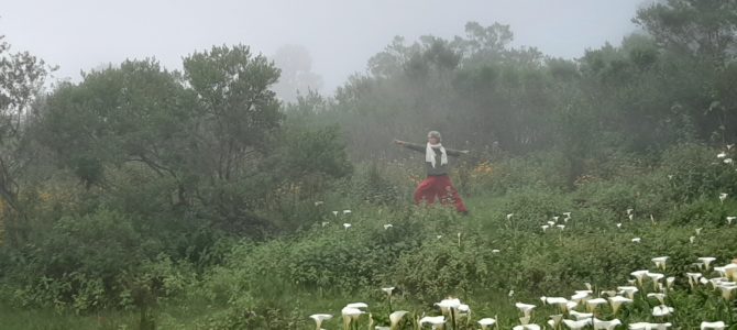 Up into the clouds ~ San Jose Del Pacifico, Oaxaca